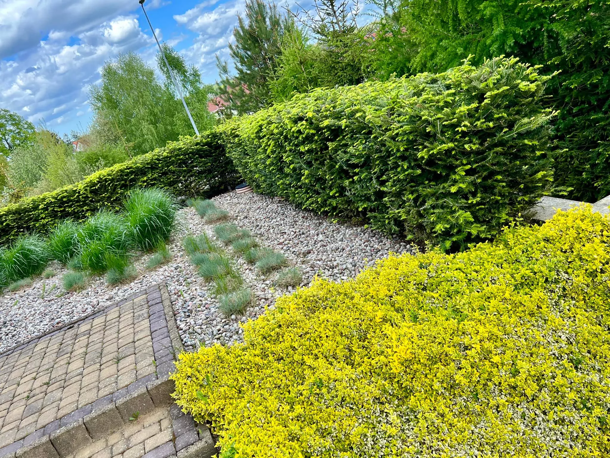 Gwiazda disco polo pochwaliła się wielkim, rajskim ogrodem! Wiemy kto go zaprojektował! Jest wyjątkowy! [ZDJĘCIA]